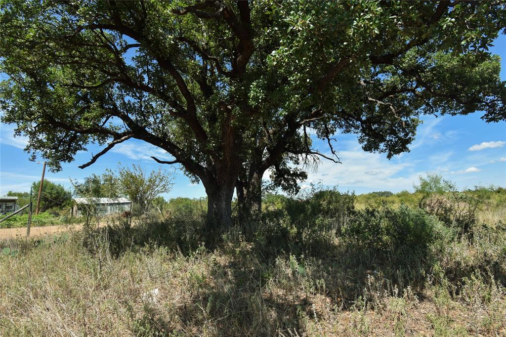 420 Maddox Property Photo 3