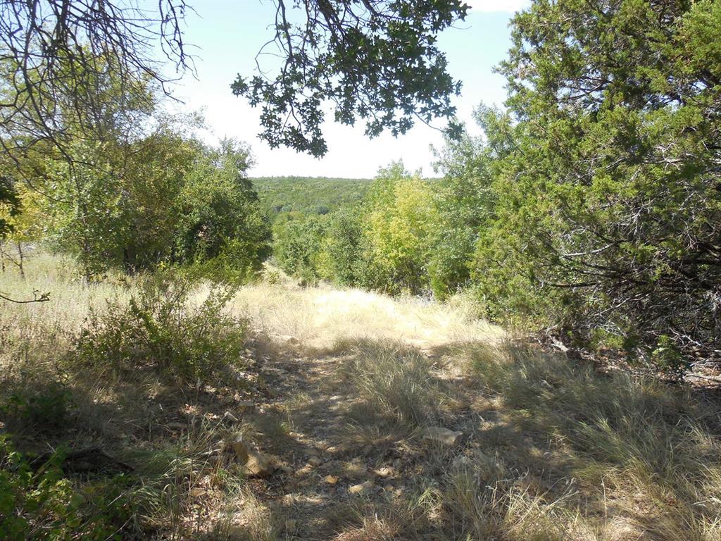 Tbd East Loop 254 Property Photo 5