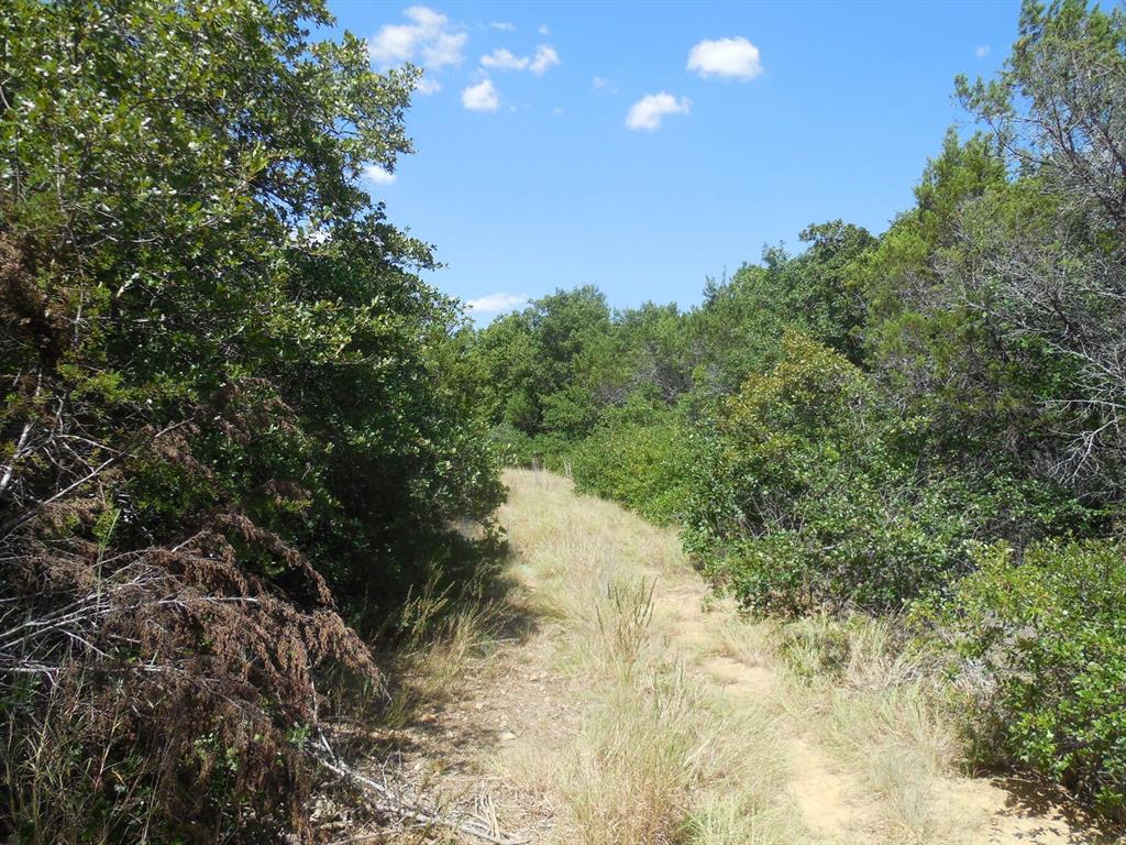 Tbd East Loop 254 Property Photo 6