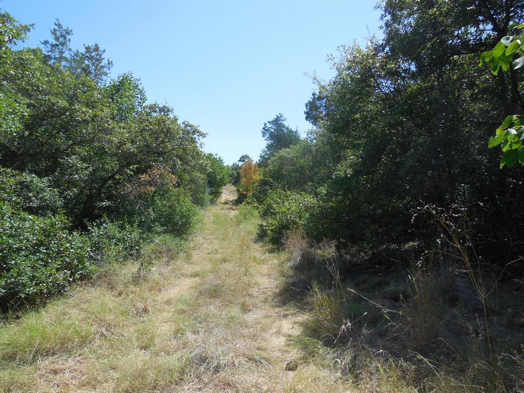 Tbd East Loop 254 Property Photo 7