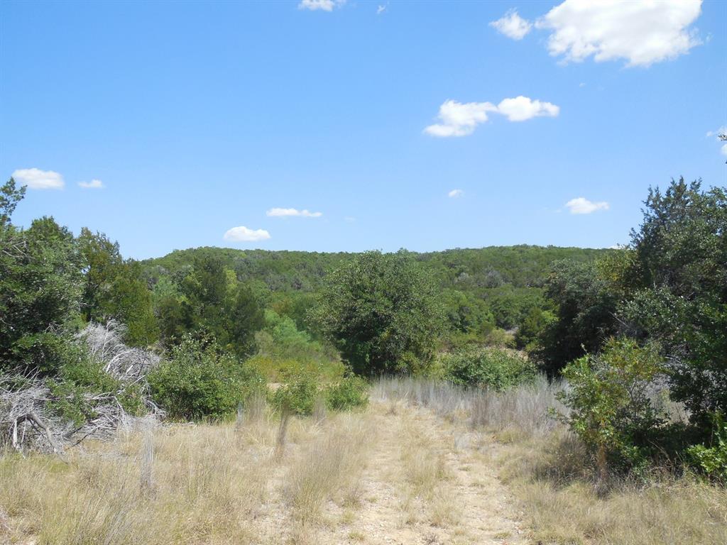 Tbd East Loop 254 Property Photo 8