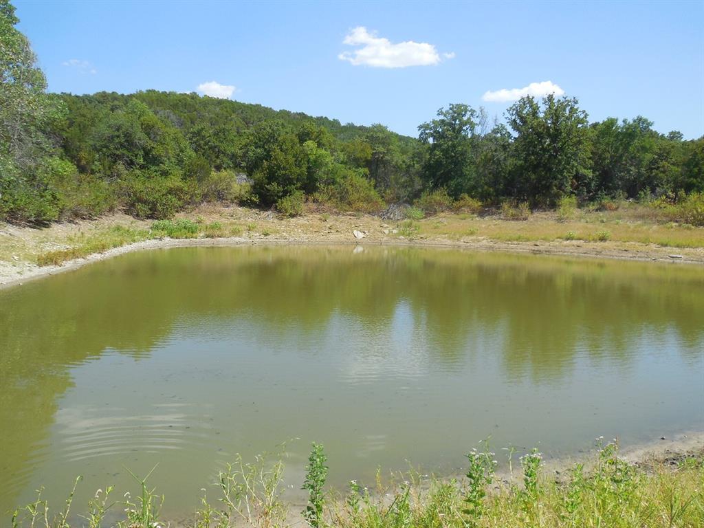 Tbd East Loop 254 Property Photo 9