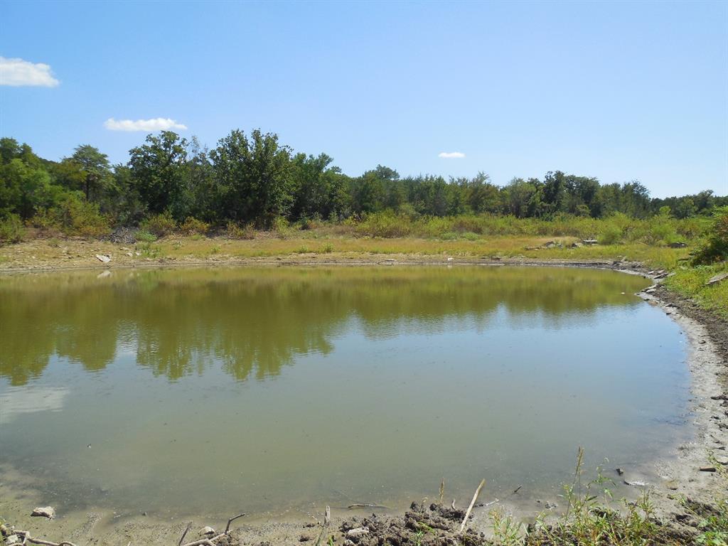 Tbd East Loop 254 Property Photo 10