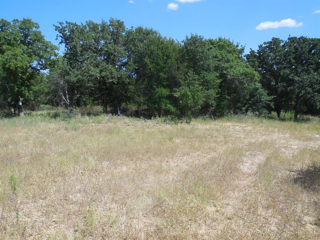 Tbd East Loop 254 Property Photo 12