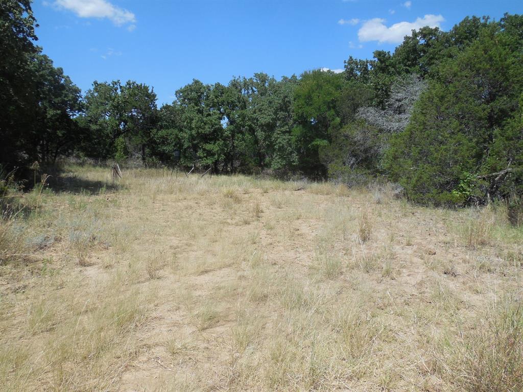 Tbd East Loop 254 Property Photo 13