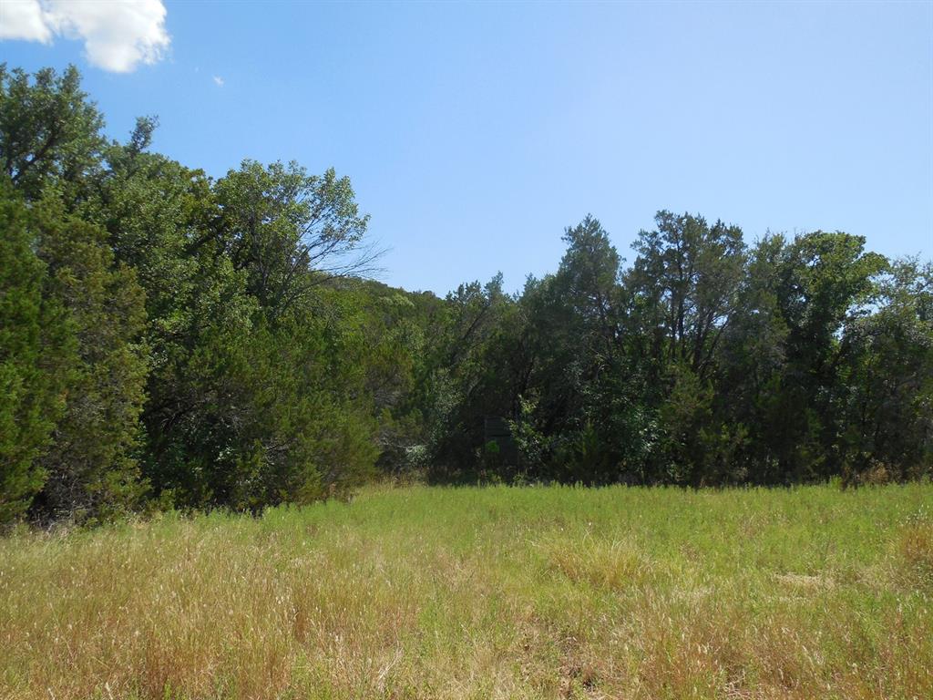 Tbd East Loop 254 Property Photo 14
