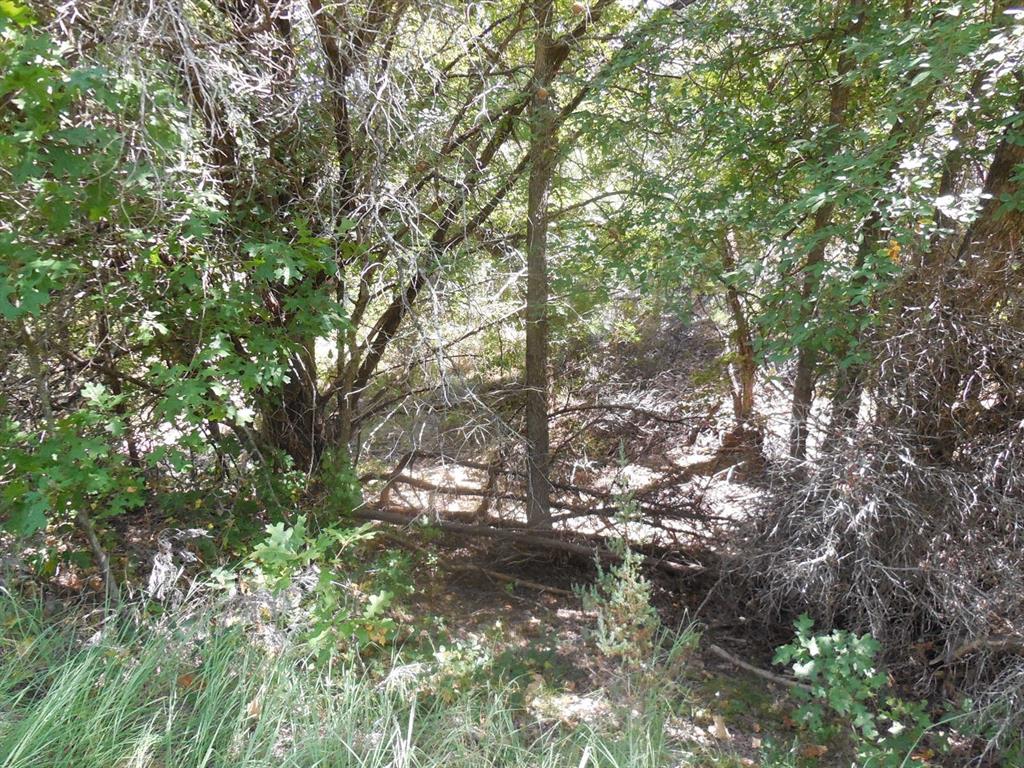 Tbd East Loop 254 Property Photo 15