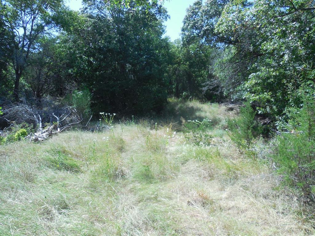 Tbd East Loop 254 Property Photo 16