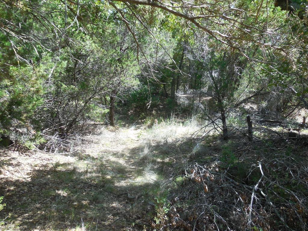 Tbd East Loop 254 Property Photo 17