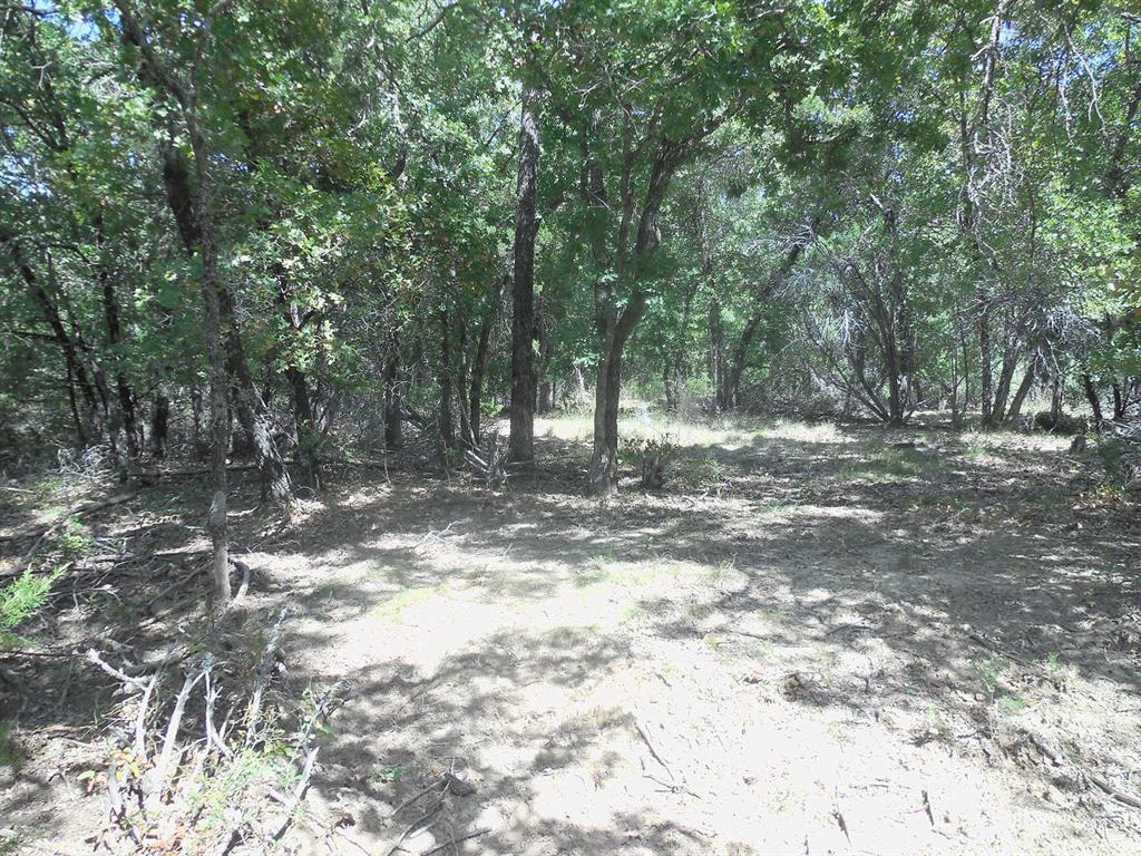 Tbd East Loop 254 Property Photo 18