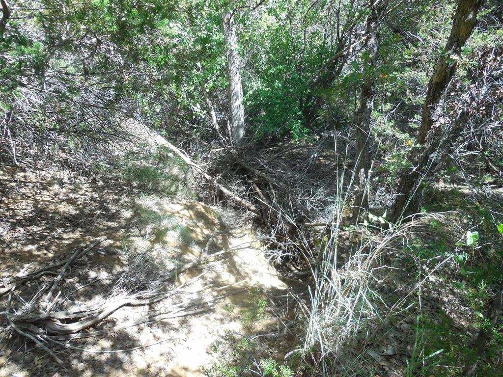 Tbd East Loop 254 Property Photo 20