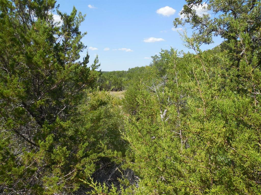 Tbd East Loop 254 Property Photo 21