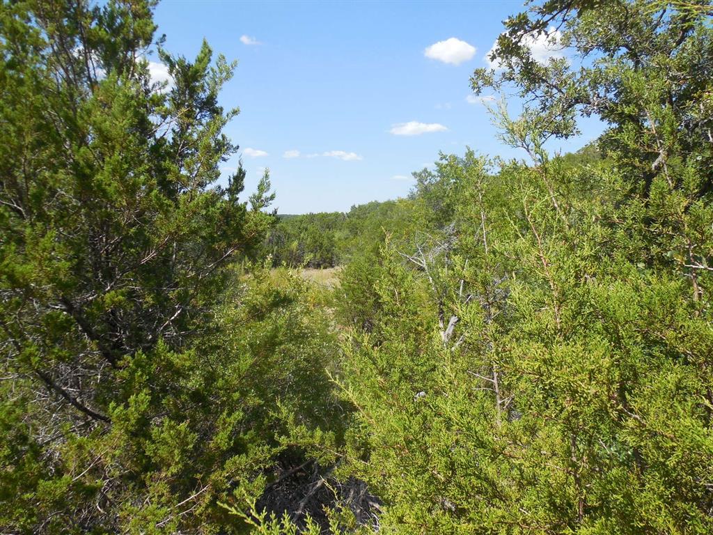 Tbd East Loop 254 Property Photo 22