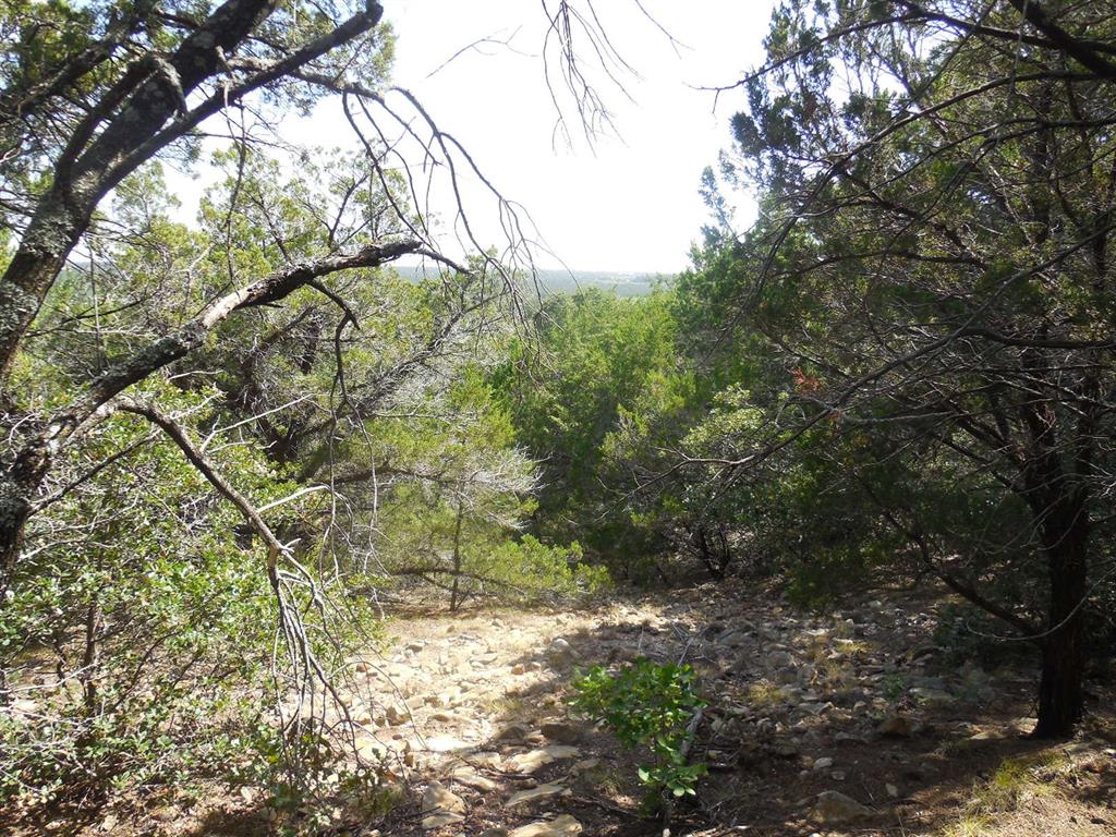 Tbd East Loop 254 Property Photo 25
