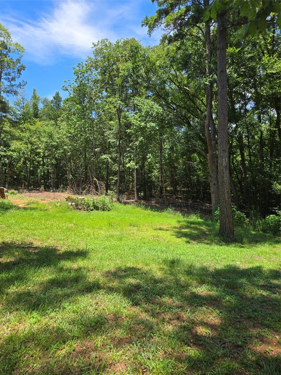10140 Us Highway 175 Property Photo 16