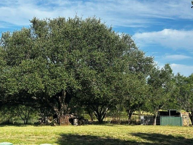 575 County Road 442 Property Photo 5