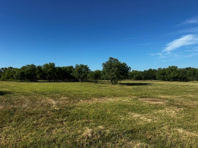 575 County Road 442 Property Photo 8