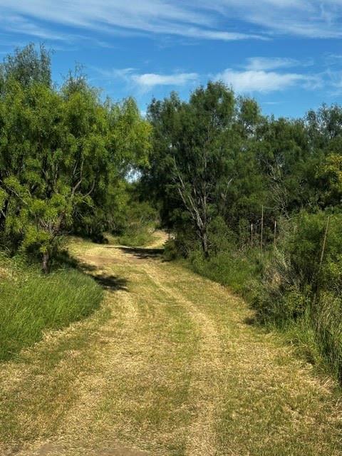 575 County Road 442 Property Photo 16
