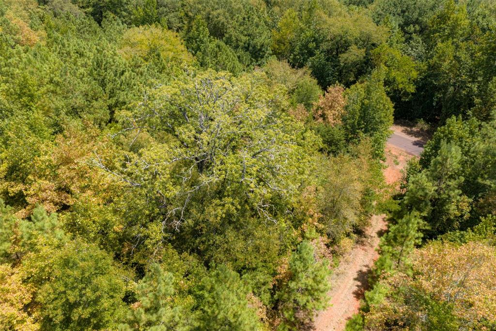 N County Road 1207 Property Photo 2
