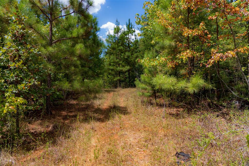N County Road 1207 Property Photo 4