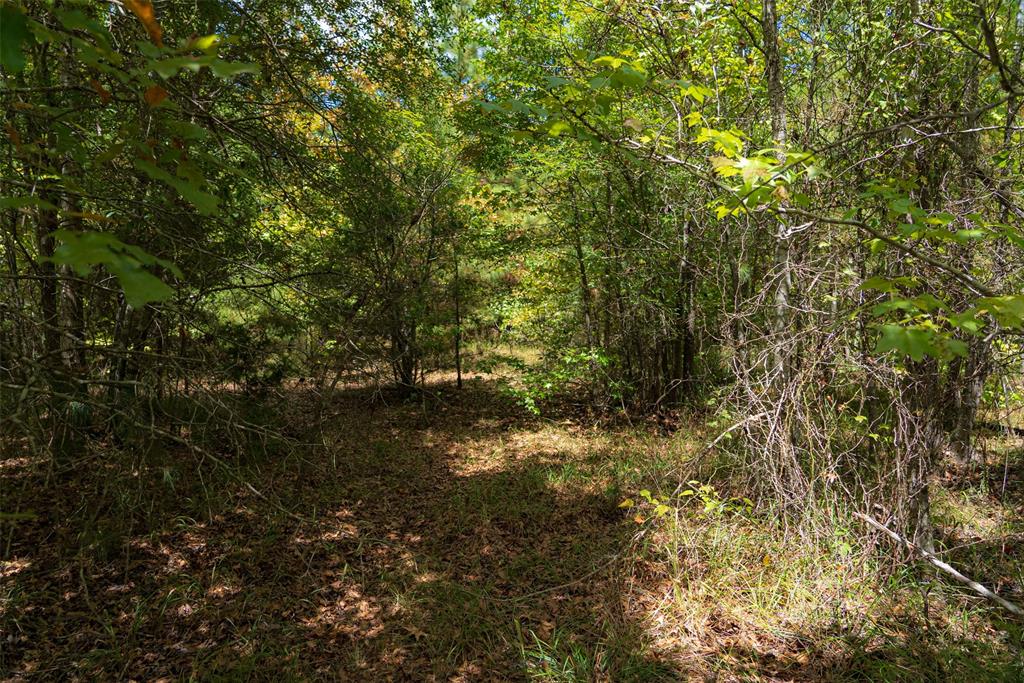 N County Road 1207 Property Photo 7