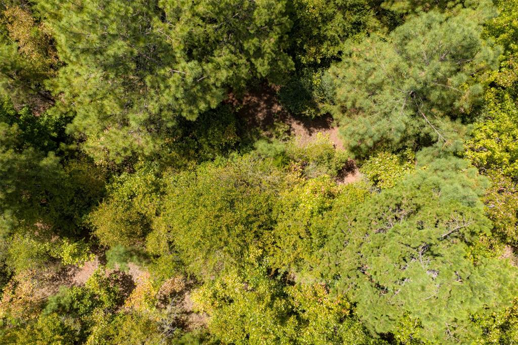 N County Road 1207 Property Photo 8