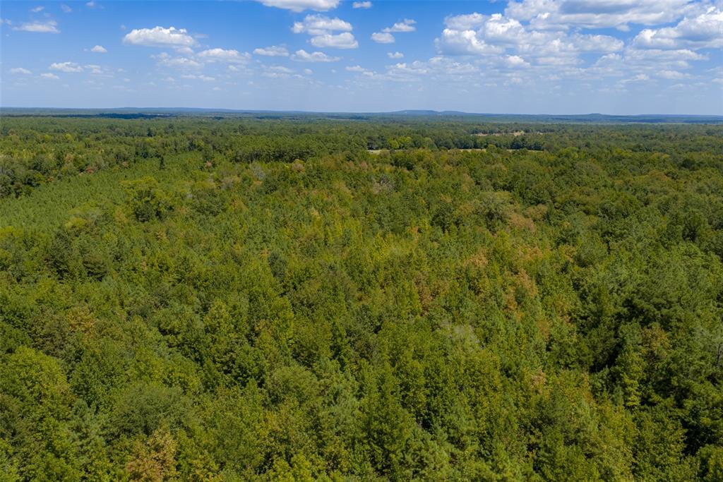 N County Road 1207 Property Photo 10