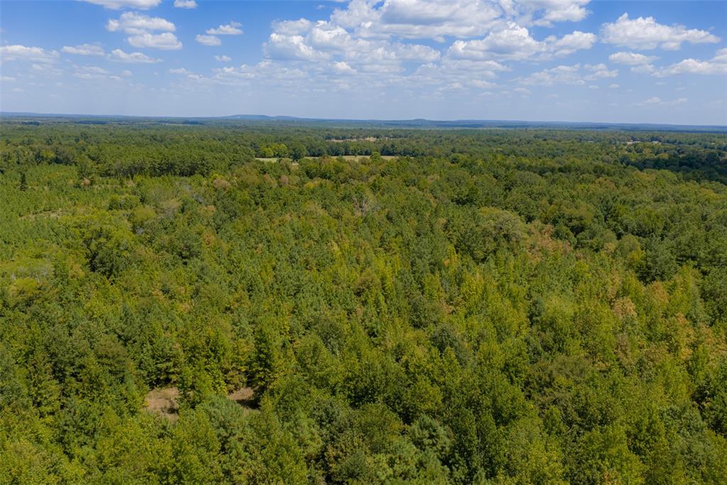 N County Road 1207 Property Photo 17