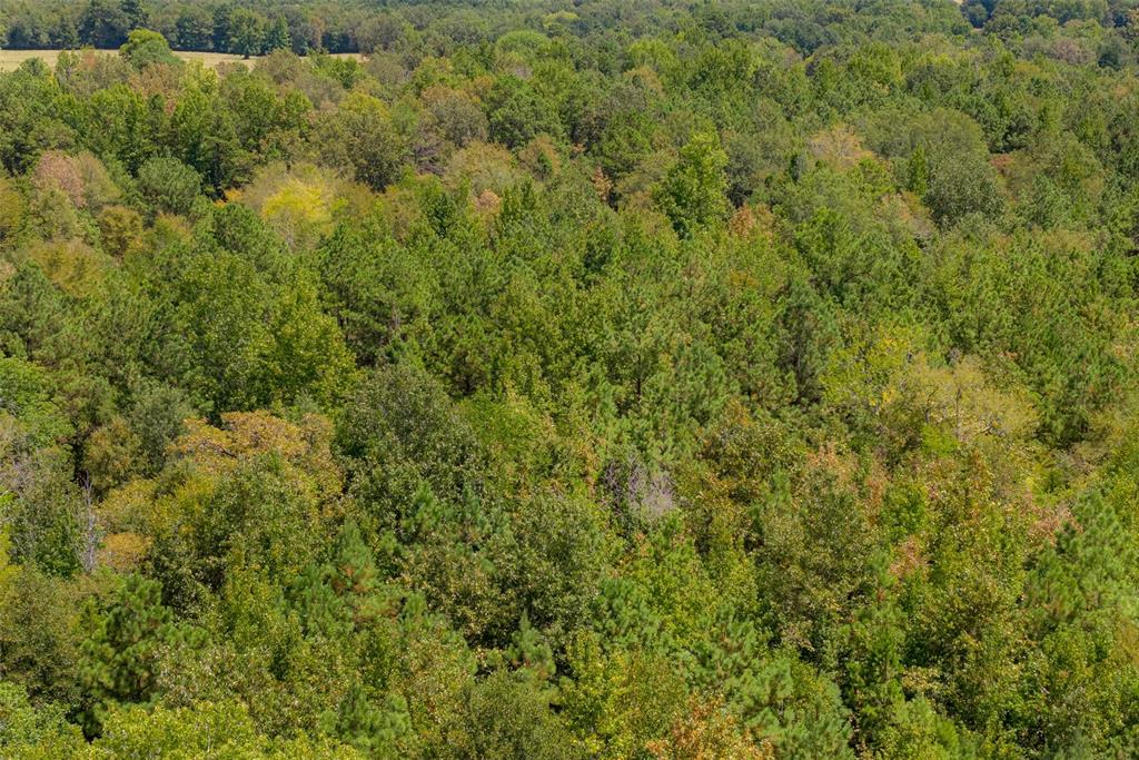 N County Road 1207 Property Photo 19