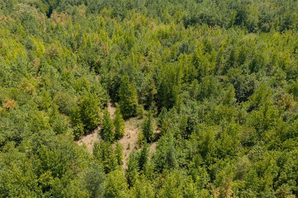 N County Road 1207 Property Photo 23