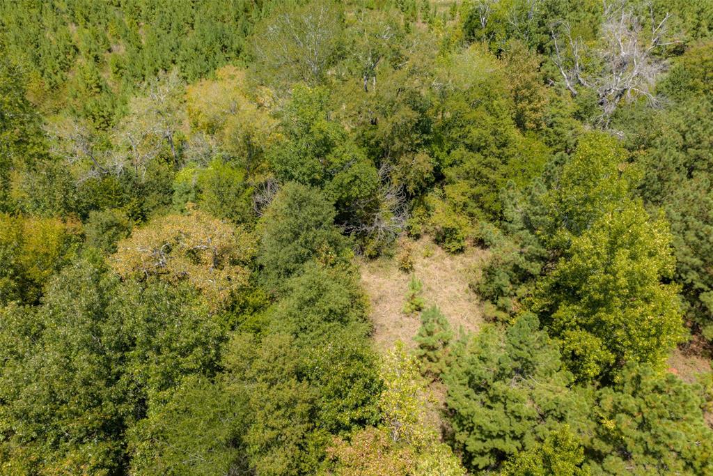 N County Road 1207 Property Photo 29