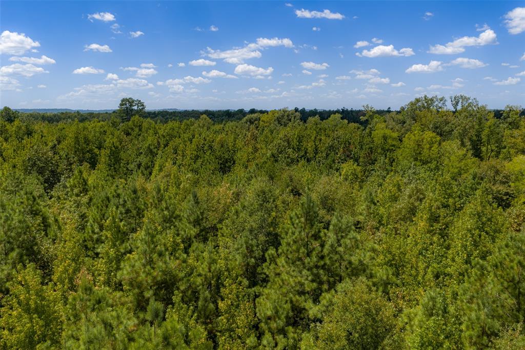 N County Road 1207 Property Photo 33