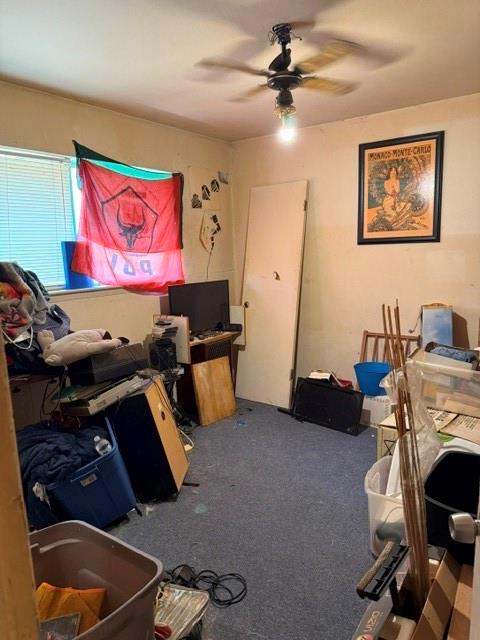 2415 Whit Drive Property Photo 14