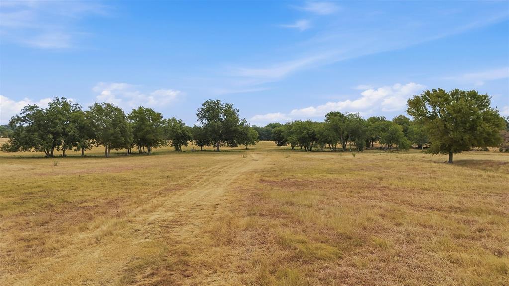 544 W Fm 902 Property Photo 24