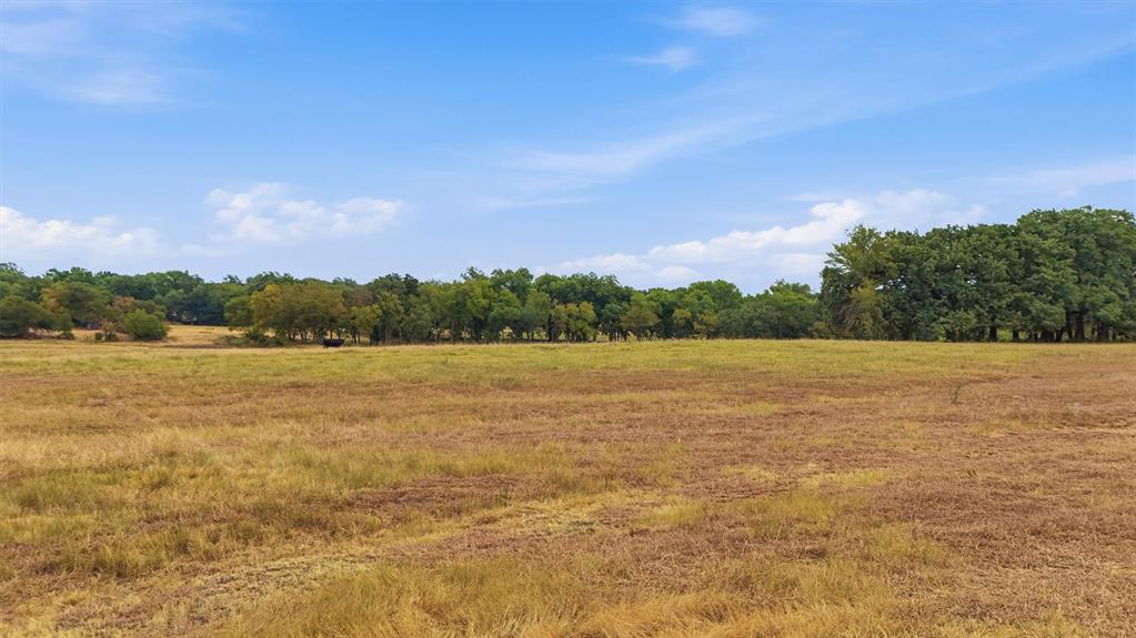 544 W Fm 902 Property Photo 25