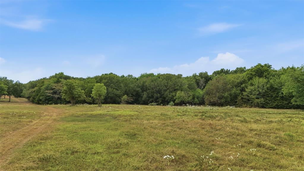 544 W Fm 902 Property Photo 28