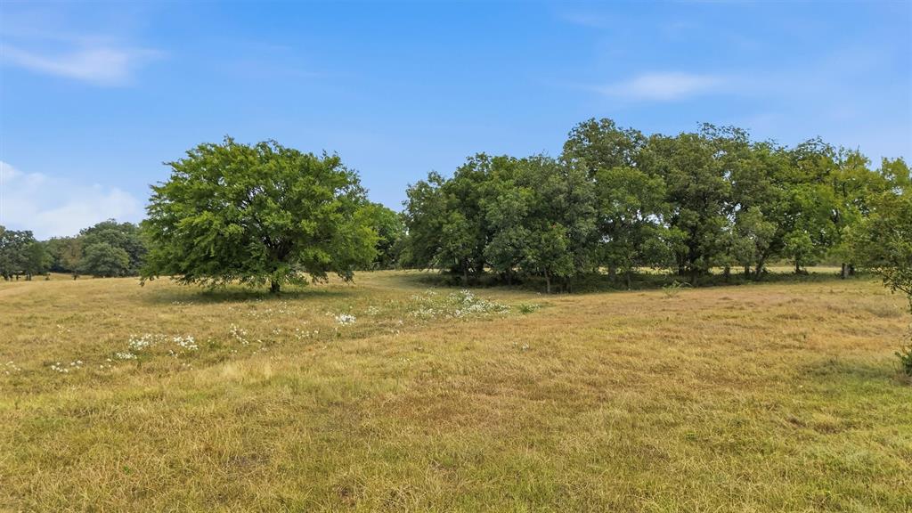 544 W Fm 902 Property Photo 29