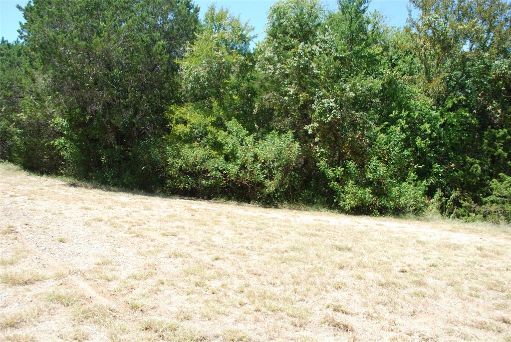 1702 Shadow Rock Court Property Photo 3