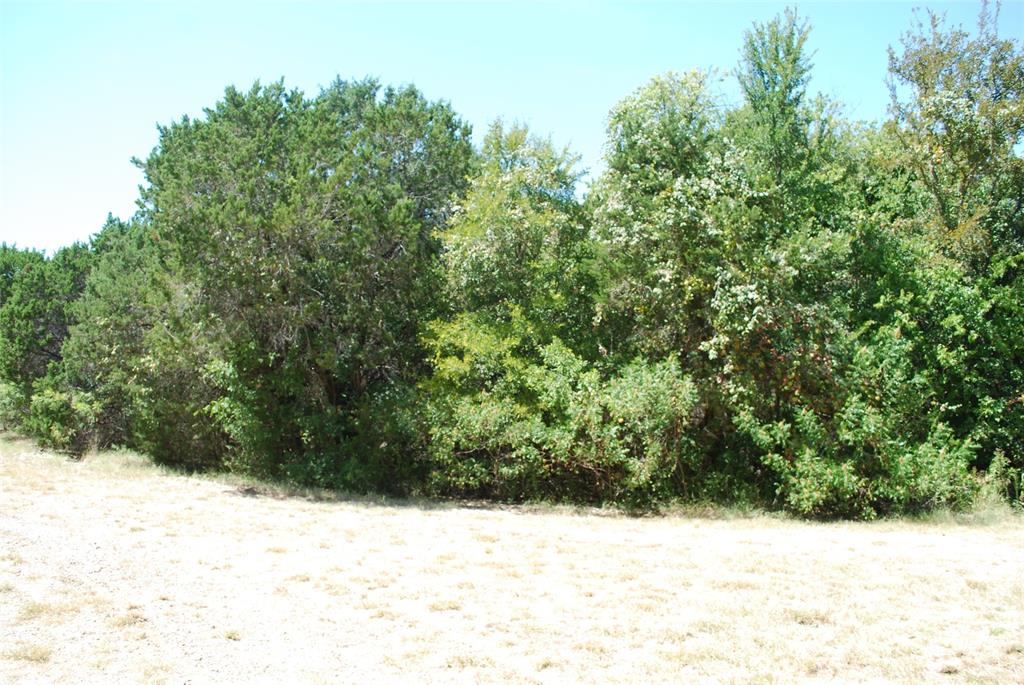 1702 Shadow Rock Court Property Photo 4