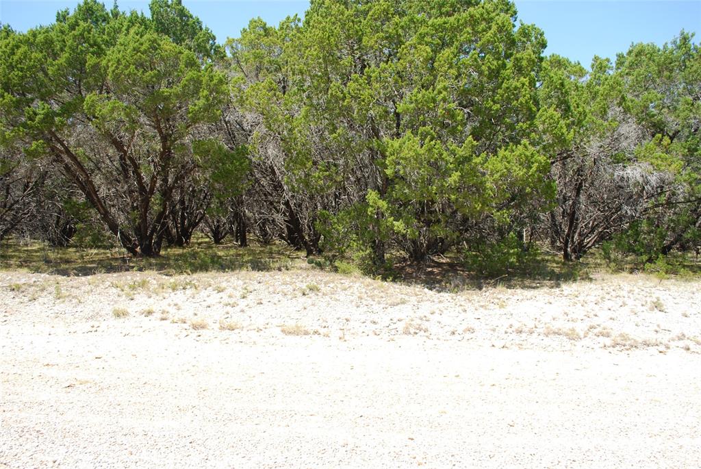1702 Shadow Rock Court Property Photo 6