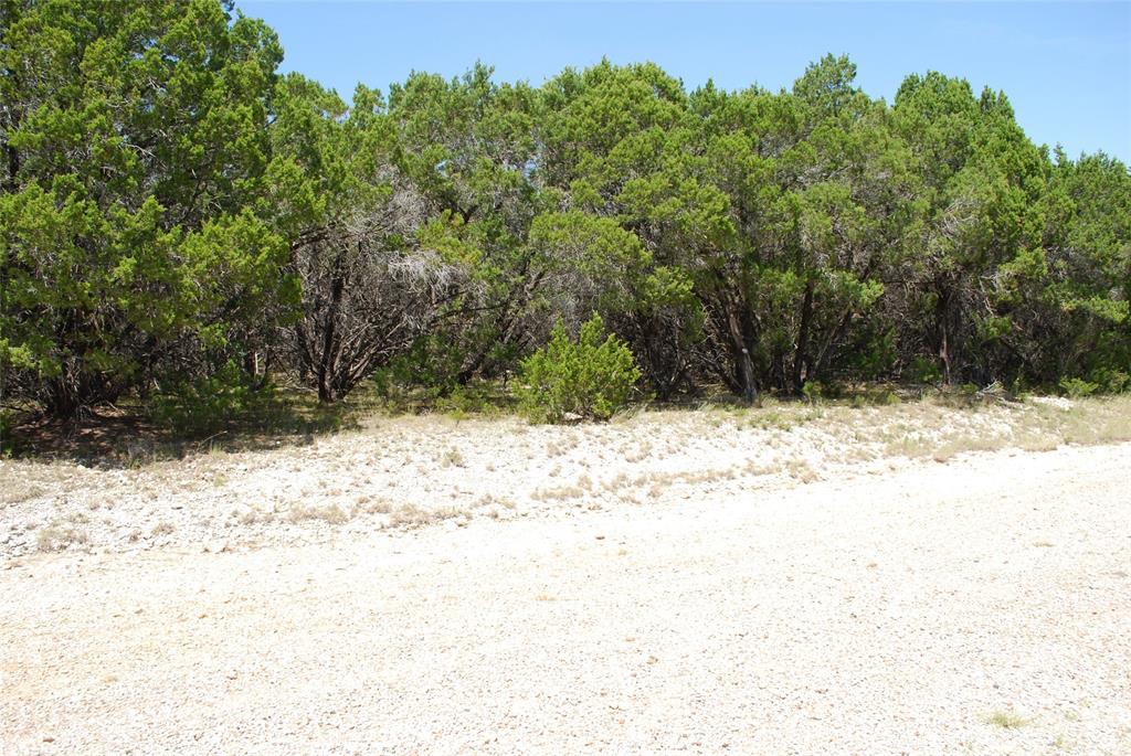 1702 Shadow Rock Court Property Photo 7