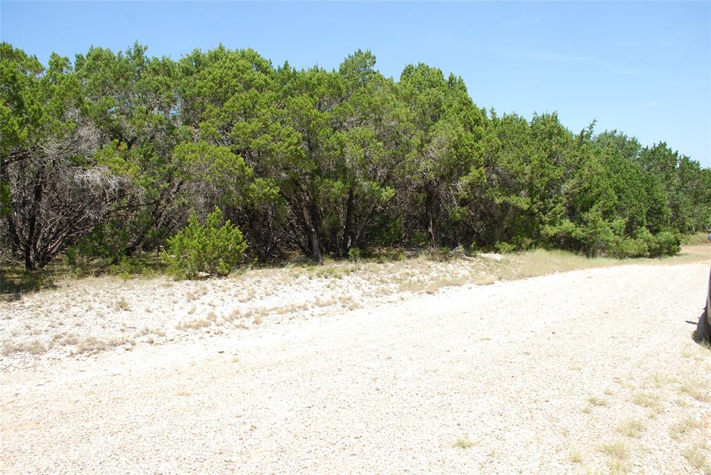 1702 Shadow Rock Court Property Photo 8