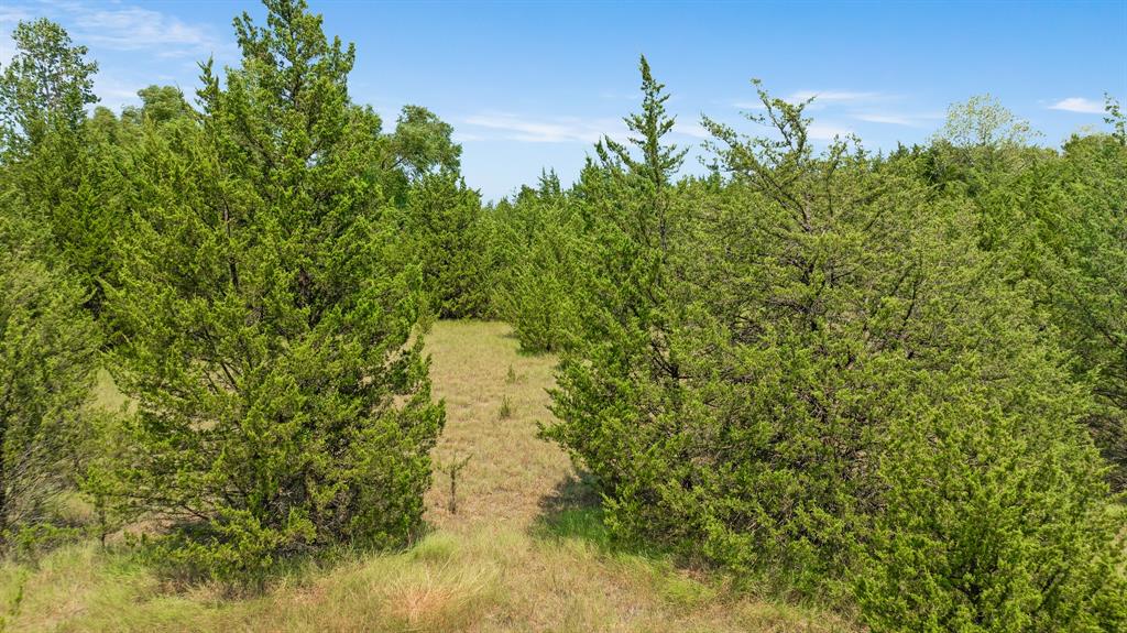 00 County Road 13600 Property Photo 14