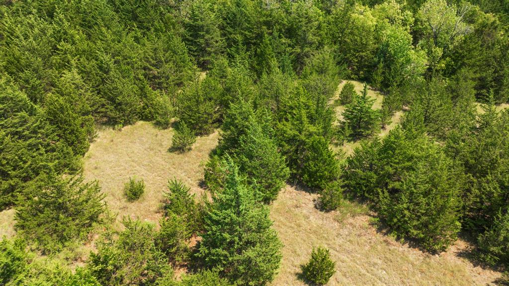 00 County Road 13600 Property Photo 16