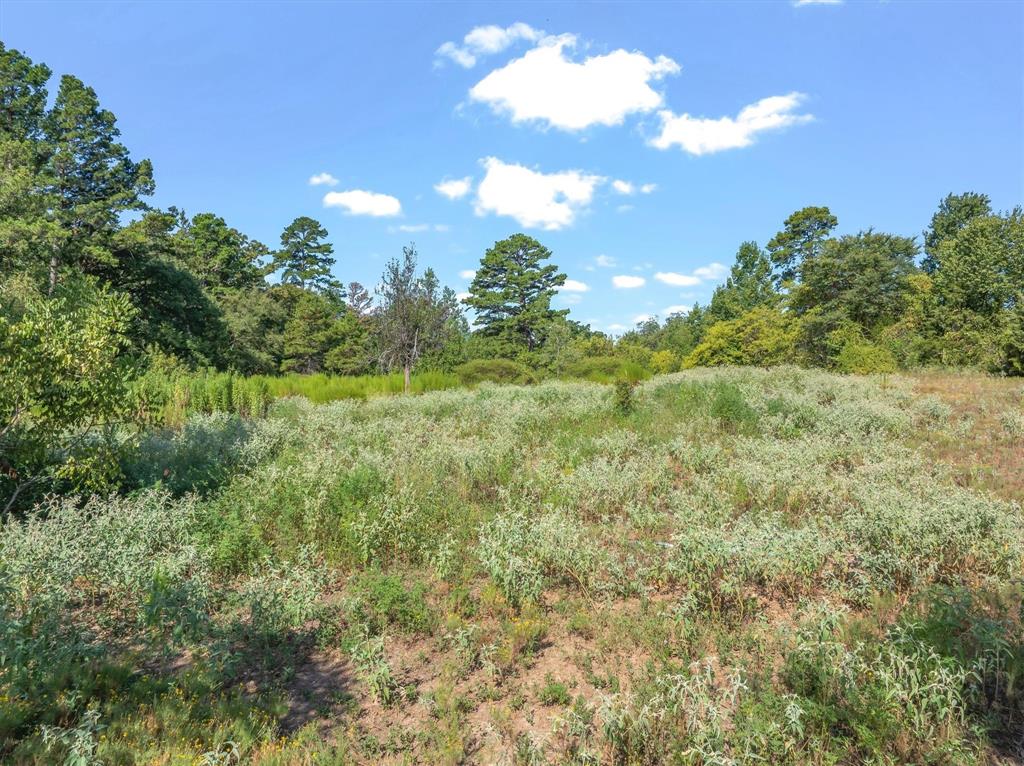 Tbd Cr 4568 Property Photo 4