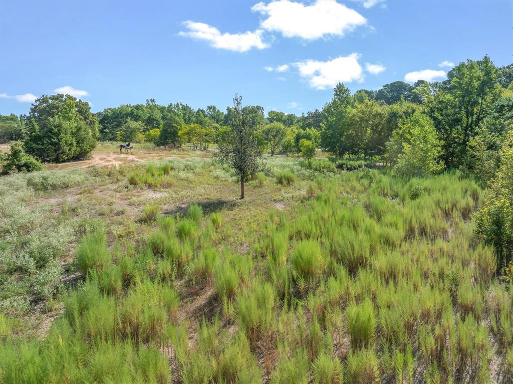 Tbd Cr 4568 Property Photo 5