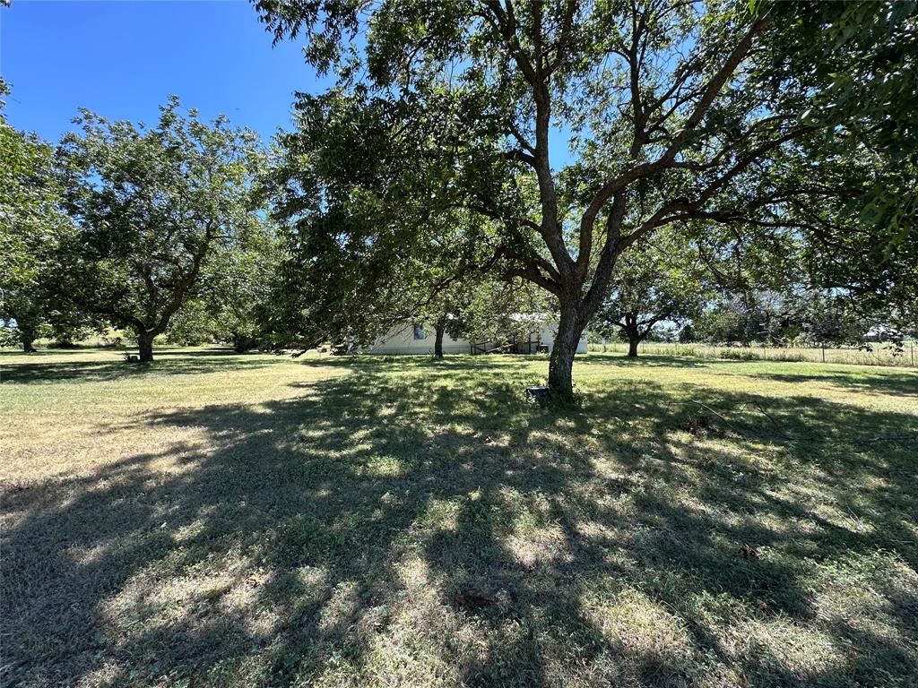 1001 Highway 36 Property Photo 4