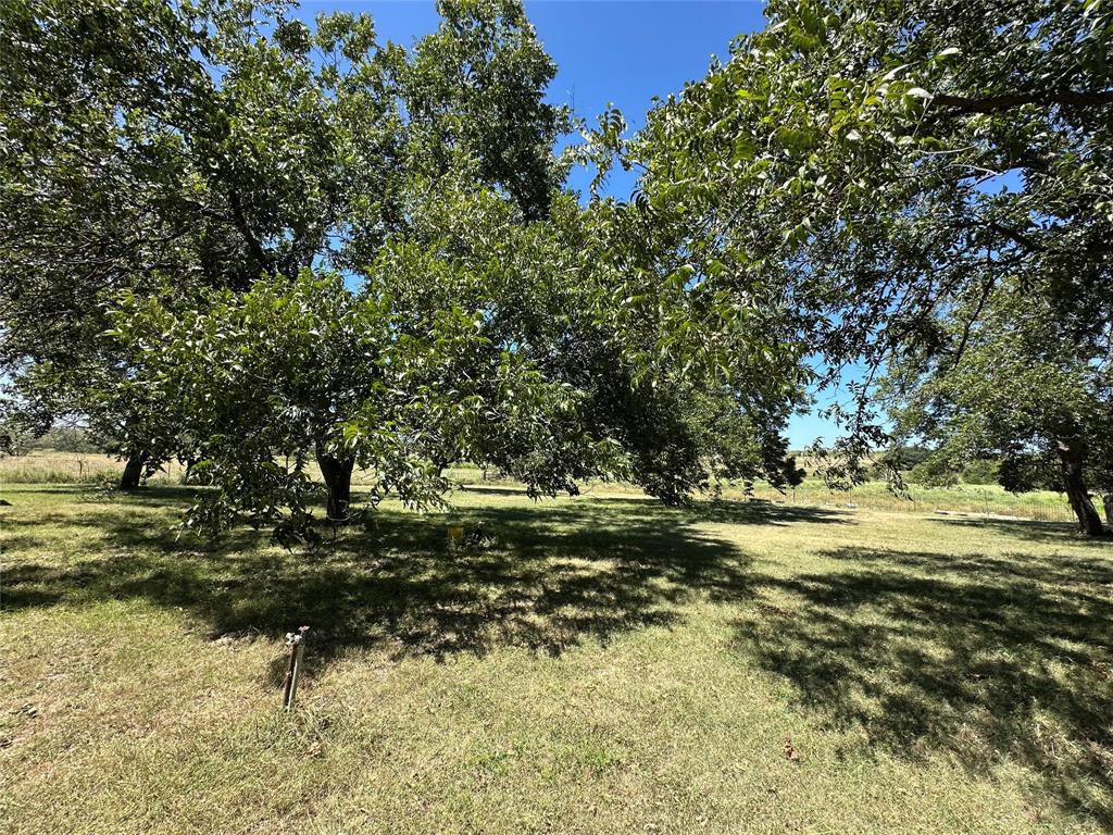1001 Highway 36 Property Photo 8