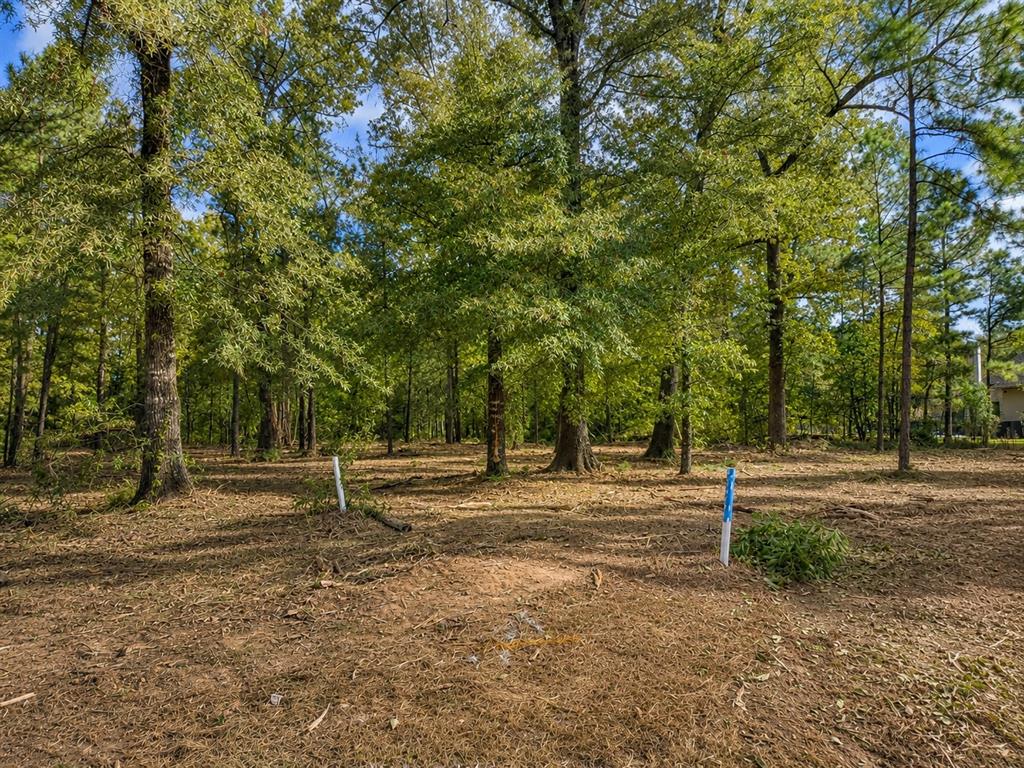 4 Lochinvar Lane Property Photo 1
