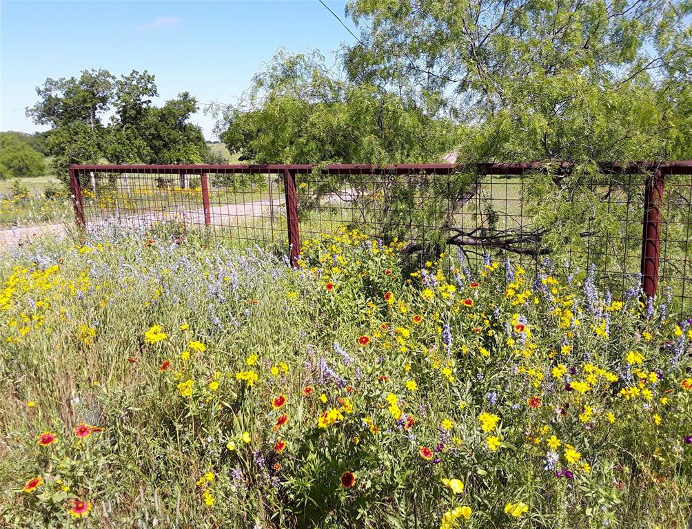 000 35 Ac. Rattler Hill Road Property Photo 13
